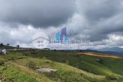 Sở hữu đất nông nghiệp 650m² gần trạm mây glamping giá cực hấp dẫn 3 tỷ