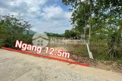 Bán đất vườn khánh đông giá rẻ quy hoạch thổ cư gần trường tiểu học