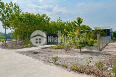 Cần bán lô đất sát kcn minh hưng 12m ngang chính chủ sổ săn