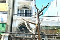 Bán nhà mới đẹp 5 tầng btct xe hơi ngủ trong nhà nguyễn tư giản, tân bình có thang máy nhỉnh 8 tỷ