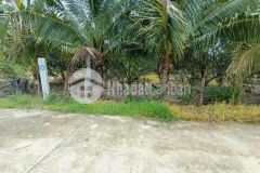 Bán vườn cây trái diên thọ sát bên tỉnh lộ 2