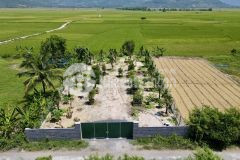 Bán vườn dừa diên sơn diên khánh đường thông