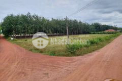 Chủ ngộp cần bán 250m2 đất thổ cư của tx chơn thành giá 270tr hết đất