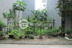 Tôi bán đất mậu lương, hàng bè, đìa lão gần chung cư mipec 50m2 chỉ 8.98 tỷ. lh 0989.62.6116