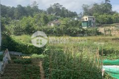 Đất đẹp thoáng trần thái tông phường 10
