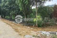 Mở bán 09 lô liền kề tại yên trị yên thủy hoà bình, 113m, 175tr