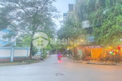 Chủ gửi bán lk dịch vụ man bồi gốc găng quang trung dt 50m 5 tầng hơn 12 tỷ