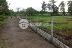 Bán đất vườn 1253m2 tại thới tam thôn. hóc môn. giá chỉ 4trm2