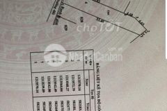 Bán đất khu việt kiều 100thổ cư 5.5m x 35m.giá 2.5 tỷ