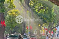 Bán gấp nhà mặt phố văn miếu, vỉa hè kinh doanhdt 70m2, 5 tầng, mt 5m, 26tỷ