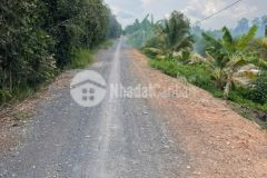 4ha đất vườn xã thạnh hòa,bến lức,long an giá 15 tỷ