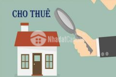 Chính chủ cần cho thuê nhà tại xã bình hưng huyện bính chánh tp hồ chí minh