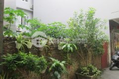 Tôi bán đất ngõ 197 trần phú cạnh kđt văn quán, vf3 đỗ gần nhà 45m2 nhỉnh 5 tỷ. lh 0989.62.6116