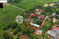 Bán đất xây biệt thự thôn đồng bông, thị trấn kim long, tam dương, vĩnh phúc. lh 0986934038