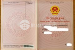 Cắt lô đất 2769m2 đã có sổ hồng, nằm bên cạnh hồ, phìn hồ y tý sapa2