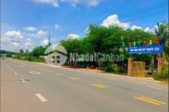Ngộp đường nhựa tây ninh 2xxtr hết đất chính chủ cần bán gấp