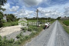 Nền thổ cư đường đá xanh 6m ấp 1a xã thanh phú