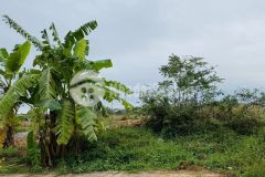 Bán lô đất kinh doanh trục chính đi duy phiên, đống lâu, thanh vân, tam dương, vĩnh phúc.