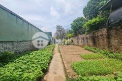 Mặt phố âu cơ 386m2 mặt tiền 6.9m giá 13.9 tỷ rẻ nhất quận tây hồ