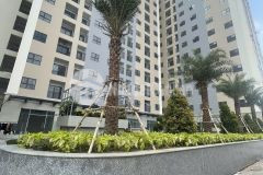 Chính chủ cần bán căn hộ 61m2 2pn chung cư tecco tân uyên bd. lh0921358378.