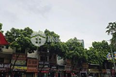 Bán nhà nguyễn khuyến văn quán hà đông 120m2x5t, mt 5m. kinh doanh khủng. giá nhỉnh 32 tỷ