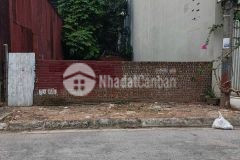 Bán đất trung tâm trâu quỳ,mặt phố chợ cửu việt 77m2 mt 6m kinh doanh đỉnh.0982852808