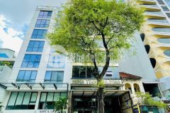 Bán nhà hxh hai bà trưng,p8, q35x20,3 tầng, gía 29 tỷ tl, 0937303936 kiên tân định