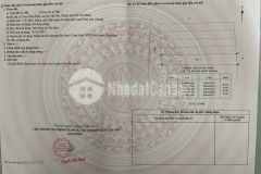 Bán đất đường tam thôn hiệp, cần giờ 14 x 100, giá 2,45 tỷ