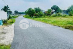 Cần bán gấp 300m2 đất thổ cư mặt tiền nhựa khu dân cư giá ngộp