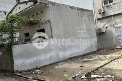 Bán đất trâu quỳngô xuân quảng 57m2 mtien 4.1m oto,2 mặt thoáng.0982852808