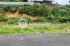 Đất xây biệt thự view rừng thông phường 7