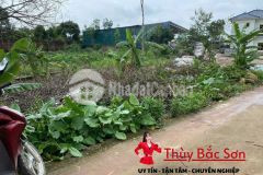 Bán đất sóc sơn, đất thổ cư, sẵn sổ, sát đường nhựa liên tỉnh, 1,95trm2 thùy bắc sơn