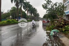 Chủ cần bán gấp nhà riêng lê trọng tấn hàng xóm khu d gliximco ô đỗ cổng dt 40m 3 tầng