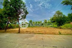 Bán nhanh lô đất điện bàn giá rẻ chỉ 3xx