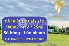 Lô đất biệt thự tây yên 300m2 1 tỷ xxx