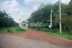 Bán đất tại xã thanh lương, thị xã bình long, bình phước diện tích 20 ha