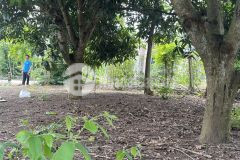 Bán đất mặt tiền kim long châu đức cực đẹp