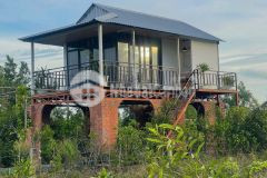 Nhà vườn dt 1000m2 xã tân thành,thủ thừa,long an giá 1,2 tỷ