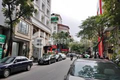 Bán gấp nhà mặt phố cát linh, vỉa hè kinh doanh dt 50m2, 5tầng, mt 4m, 15.5tỷ