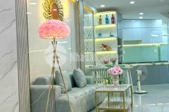 Nhà đẹp full nội thất 3 lầu st hẻm xe hơi nguyễn thị thập, quận 7