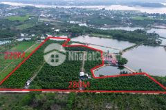 Cần bán gấp lô đất 5ha ngay xã phú ngọc, định quán, đồng nai
