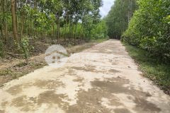 Bán đất vườn khánh bình giá rẻ bám đường 200m gần tỉnh lộ 8b và khu tái định cư