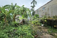 Thạnh xuân quận12, nhà 349m2 ngang 12m, nở hậu, chi nhỉnh 7 tỷ m