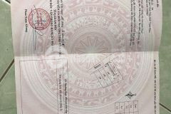 Bán đất hướng tây nam trục chính xóm gẩy, định trung, vĩnh yên, vĩnh phúc