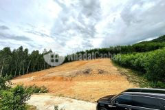 Bán đất vườn khánh phú giá rẻ gần ngã ba hương lộ 62 nước nhĩ