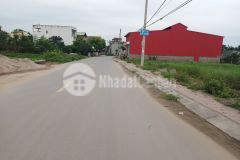 Bán 105m2 đâú giá mới mặt kinh doanh, cát lư. chỉ đạo. văn lâm. hy. lh 0828218468