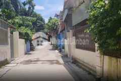 Ace đầu tư lô đất giá 38 tỷ có gần 1.300m tại thuỷ xuân tiên, chương mỹ