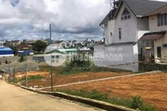 Chủ cần bán 2 lô biệt lập liền kề đường vạn hạnh