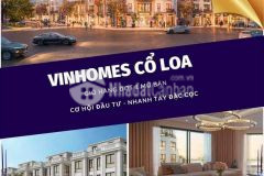 Mở bán vin cổ loa giá gốc chủ đầu tư