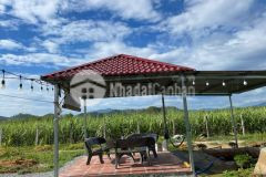 Bán vườn farm mini diên đồng gần sông chò mát mẻ